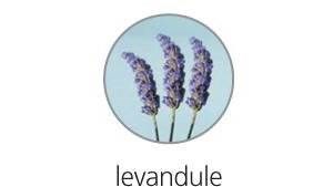 Obrázky: Lepiace lístky 51x74mm,50ks,sv.modré,LEVANDUĽA