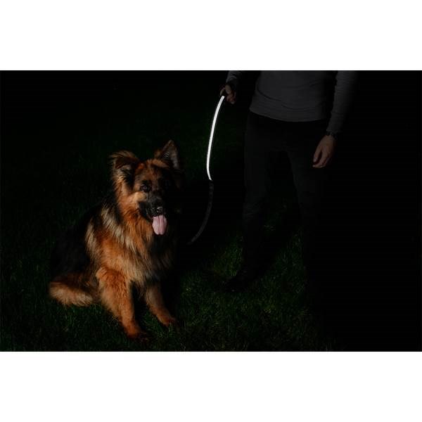 Obrázky: Čierny obojok na psa s LED pásikom, Obrázok 6