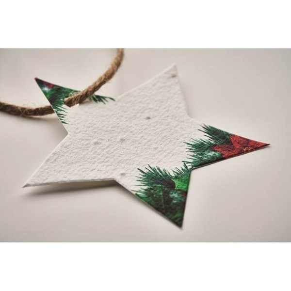 Obrázky: Vianočná ozdoba zo semienkového papiera, hviezda, Obrázok 3