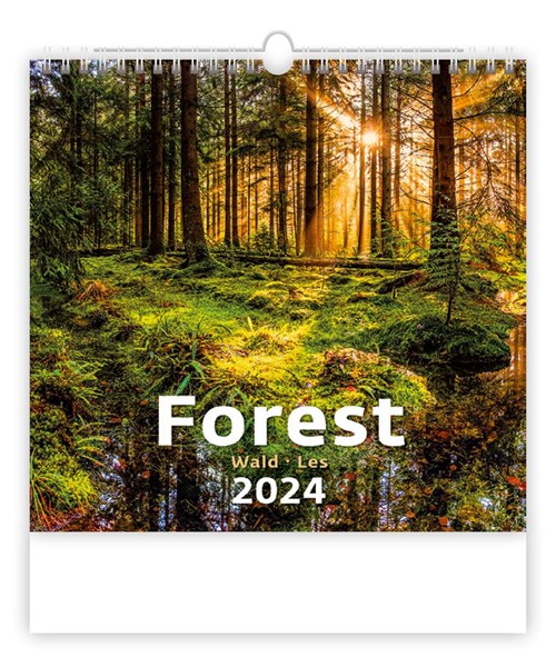 Obrázky: FOREST, nástenný kalendár 300x300 mm, väzba na špirále