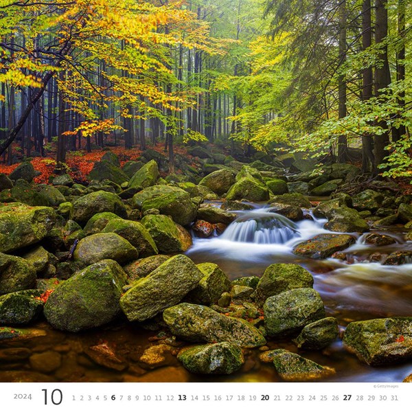 Obrázky: FOREST, nástenný kalendár 300x300 mm, väzba na špirále, Obrázok 11