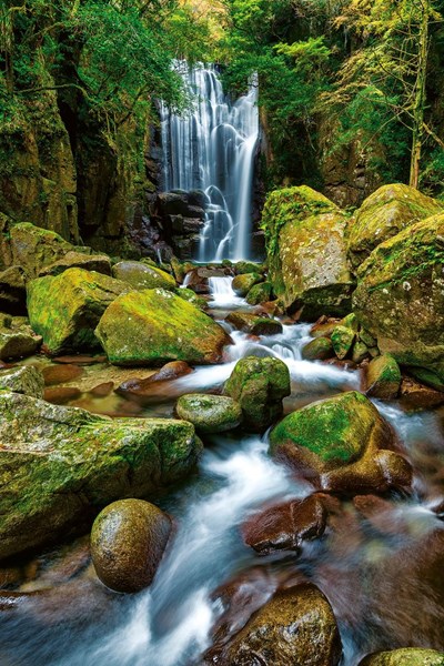 Obrázky: MAGIC NATURE, nástenný kalendár 330x600 mm, Obrázok 9