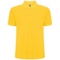 Obrázky: Pán.polokošeľa Pegaso Premium 190 žltá 4XL