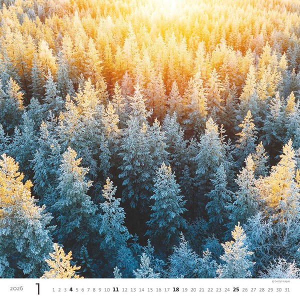Obrázky: FOREST, nástenný kalendár 300x300 mm, väzba na špirále, Obrázok 2
