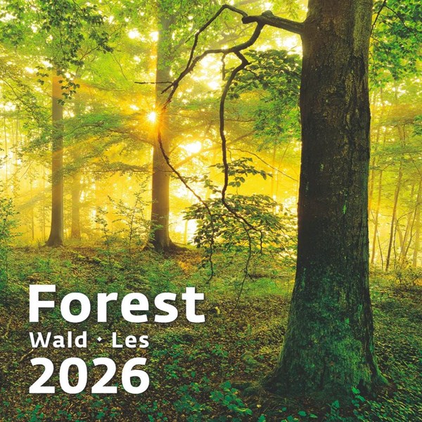 Obrázky: FOREST, nástenný kalendár 300x300 mm, väzba na špirále, Obrázok 14