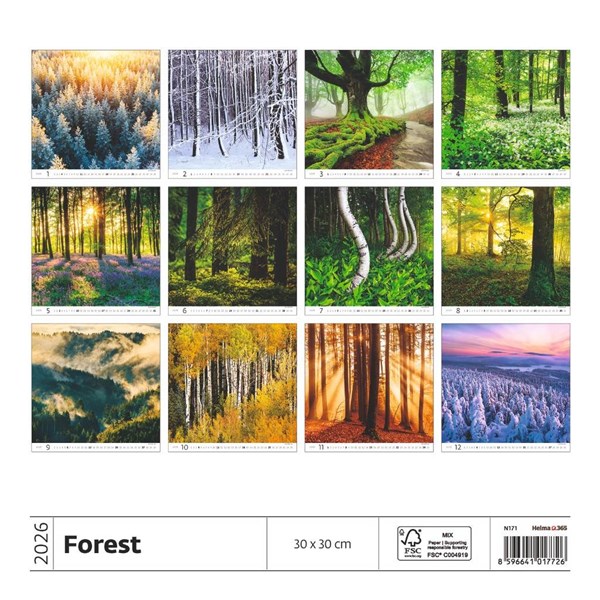 Obrázky: FOREST, nástenný kalendár 300x300 mm, väzba na špirále, Obrázok 15