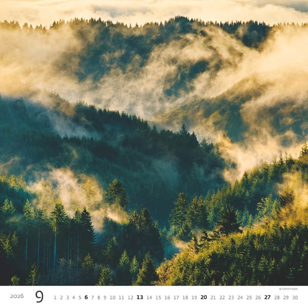 Obrázky: FOREST, nástenný kalendár 300x300 mm, väzba na špirále, Obrázok 10