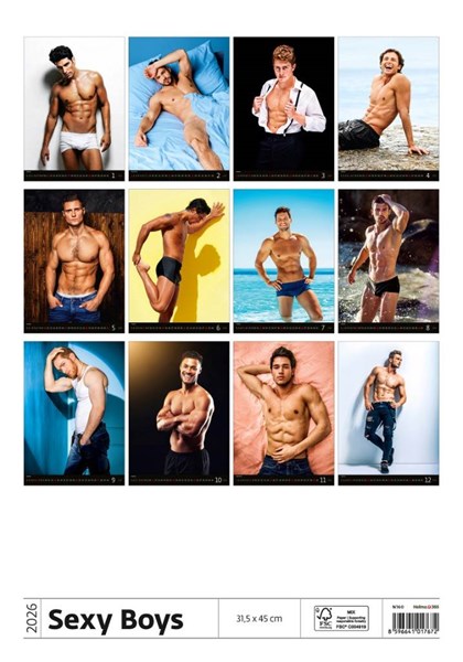 Obrázky: SEXY BOYS, nástenný kalendár 315x x450 mm, Obrázok 15