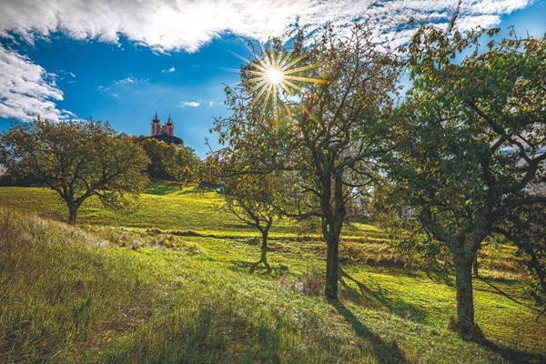 Obrázky: SLOVENSKO V OBRAZOCH,nástenný kalendár 485x340 mm, Obrázok 8