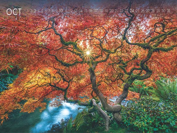 Obrázky: NATURE, nástenný kalendár 560x420 mm, Obrázok 3