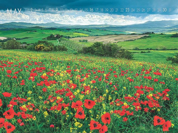 Obrázky: NATURE, nástenný kalendár 560x420 mm, Obrázok 9
